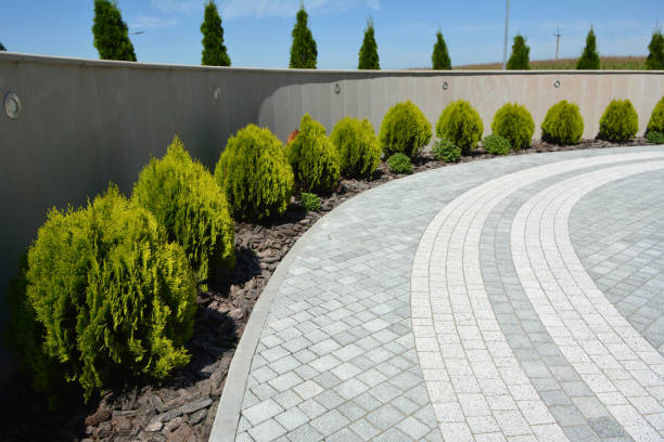 Best Custom Driveway Pavers  in Elmer, NJ